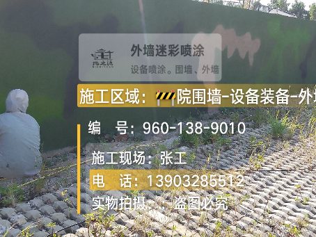 临高外墙迷彩漆材料价约 45-60 元 /k