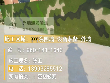 临高 迷彩漆喷涂价格（按平方米计费）