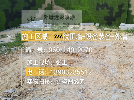 临高迷彩漆喷涂方法（通用 + 数码专项